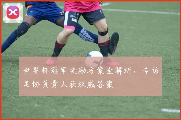 世界杯冠军奖励方案全解析,专访足协负责人获权威答案