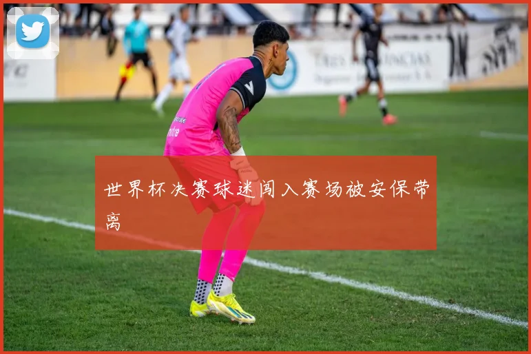 世界杯决赛球迷闯入赛场被安保带离