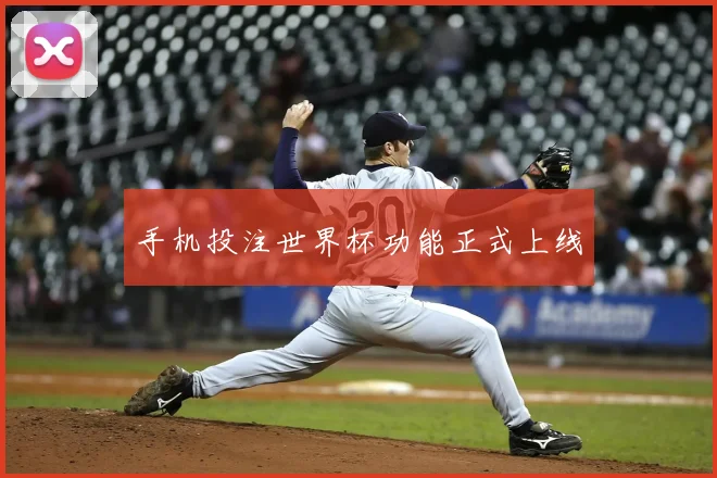 手机投注世界杯功能正式上线