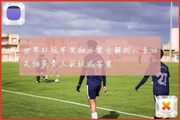 世界杯冠军奖励方案全解析,专访足协负责人获权威答案