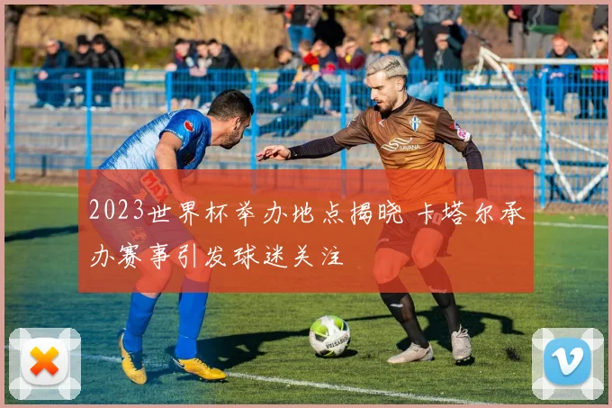 2023世界杯举办地点揭晓 卡塔尔承办赛事引发球迷关注